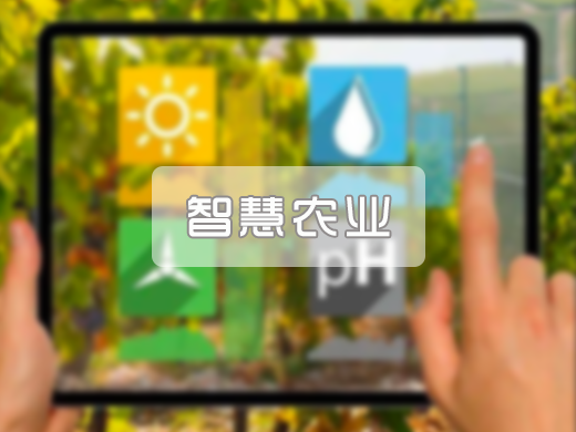 智慧农业产品市场解决方案